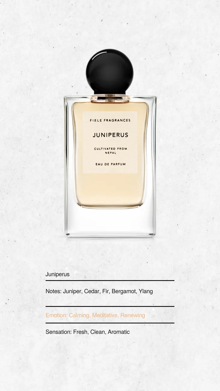 Juniperus