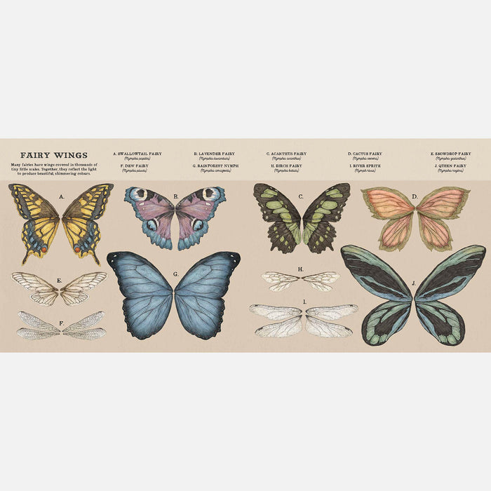 A Natural History Of Fairies