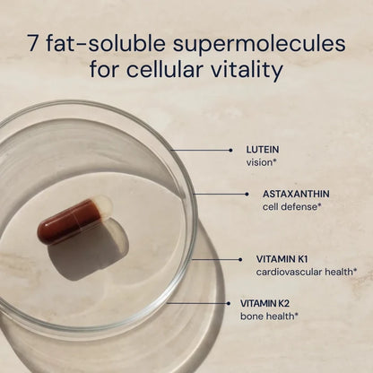 Supplement capsule with labeled benefits on a beige background
