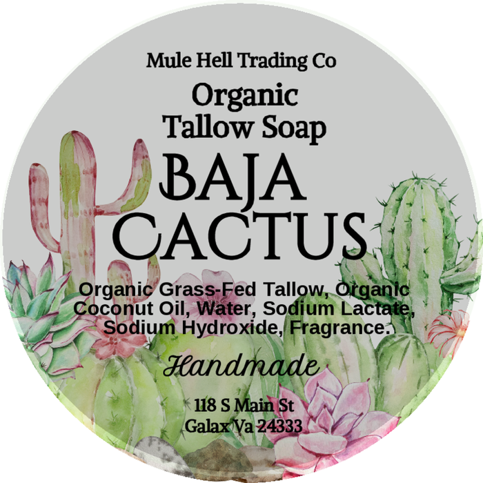 Baja Cactus Tallow Soap bar