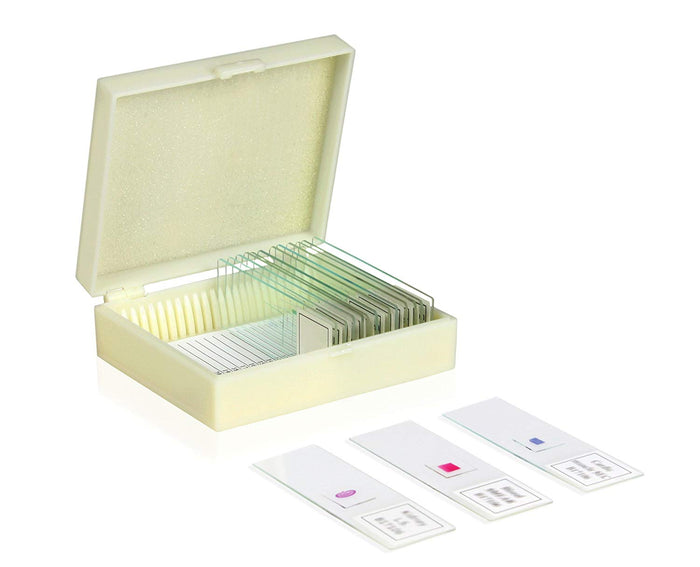 Basic Botany Slide Set