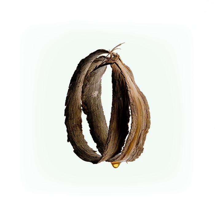 Body Scrub : Katrafay