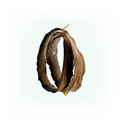 Body Scrub : Katrafay
