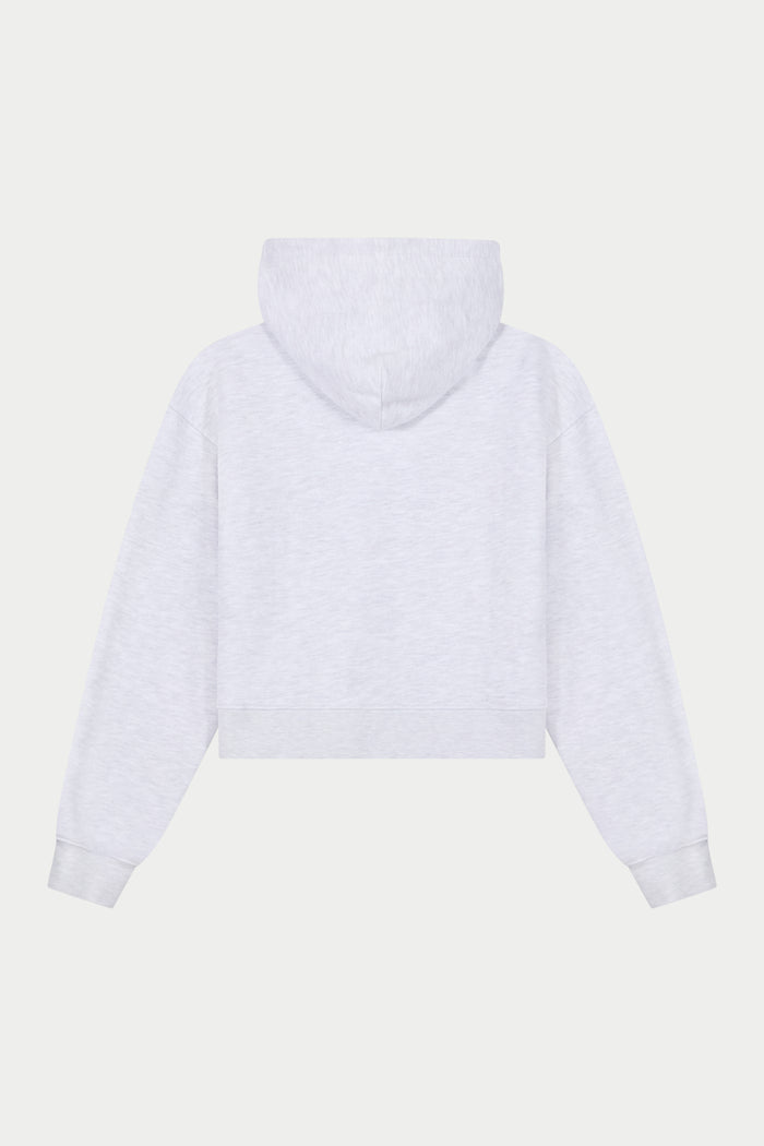 CTRE APPLIQUE ZIP THROUGH HOODIE - GREY MARL