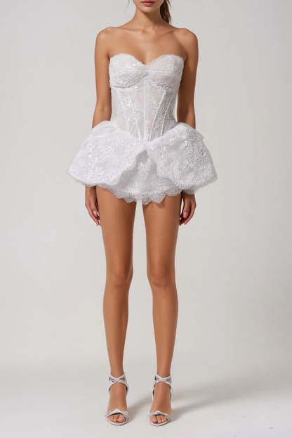 Donal Strapless Corset Lace Mini Dress