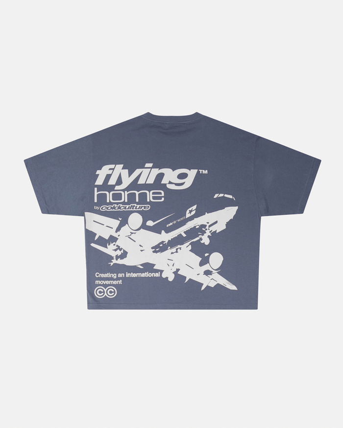 FLYING HOME TEE DOVE GREY - dove grey graphic print tee, back view - Cold Culture