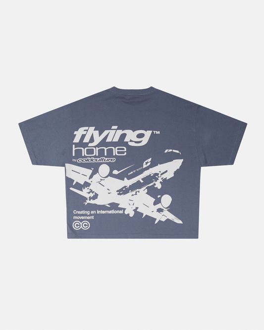 FLYING HOME TEE DOVE GREY - dove grey graphic print tee, back view - Cold Culture
