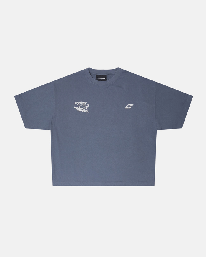 FLYING HOME TEE DOVE GREY - dove grey graphic print tee, front view - Cold Culture