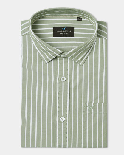 Green Stripe Shirt - Hamber