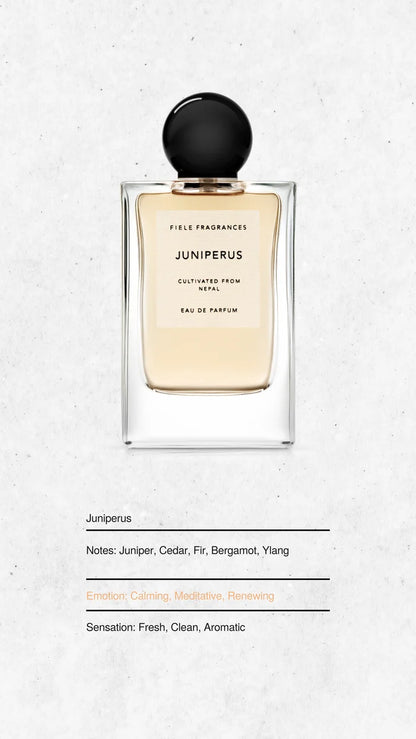 Juniperus