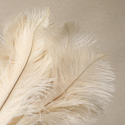 Ostrich Feather Duster