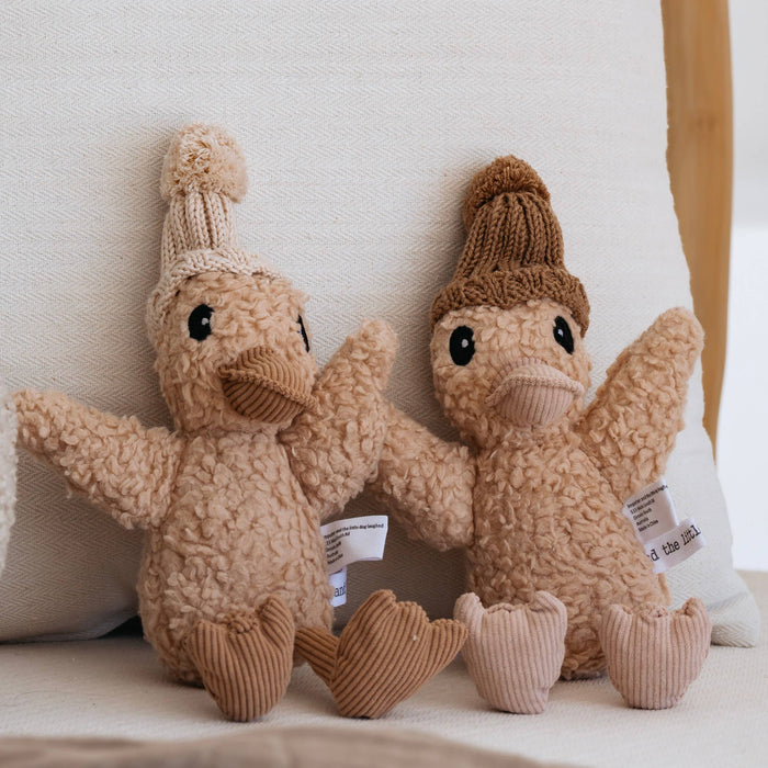 Poppy Duck