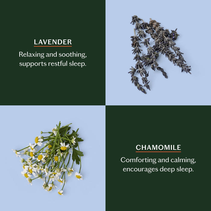 Sleep Stone, Starter Kit