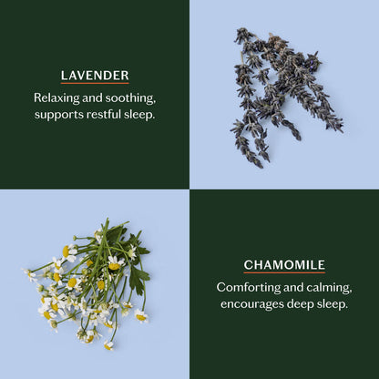 Sleep Stone, Starter Kit