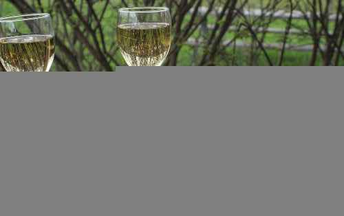 SPRING: Lambing Season Tours 2026