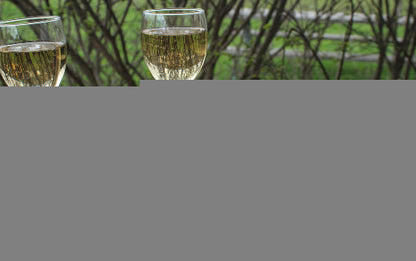 SPRING: Lambing Season Tours 2026