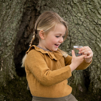 The Bug Spotter Kit