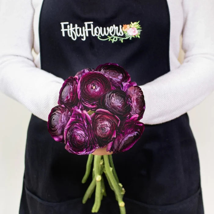Violet Ranunculus Wholesale Flower Bunch in a hand