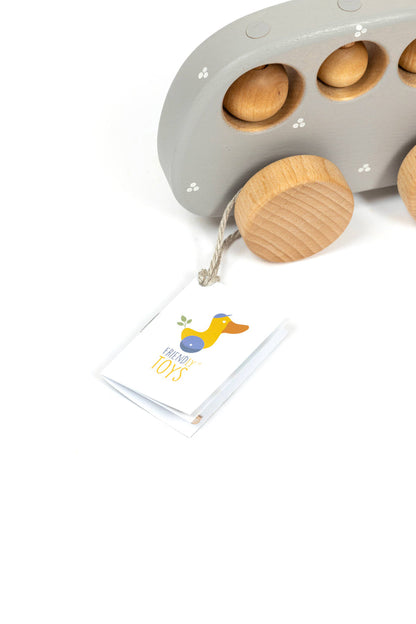 Wooden Push Toy Rattle